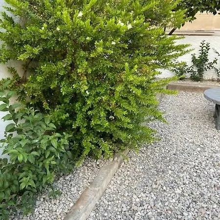 Beautiful With Private Garden!! Διαμέρισμα Rhodes City