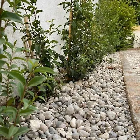 Beautiful With Private Garden!! *